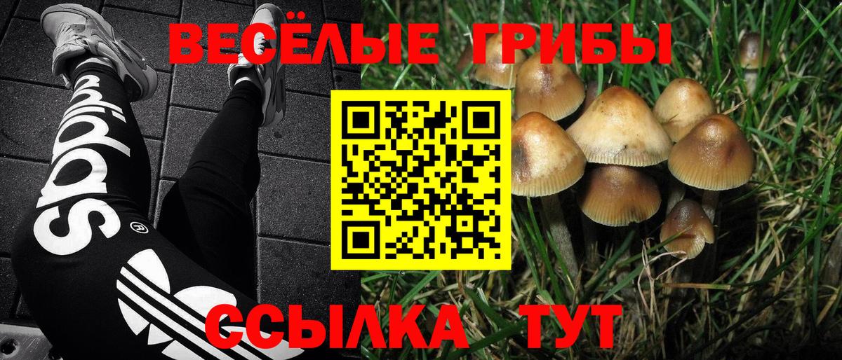 Галлюциногенные грибы Psilocybe  Галлюциногенные грибы Magic Shrooms  Городец  Вход с VPN 